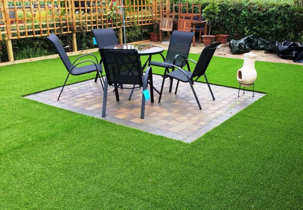 Выбор газона для дачи: отзывы владельцев и советы по уходу