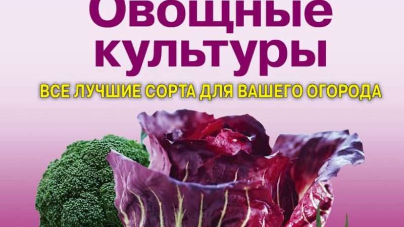 Выбор лучших сортов овощей для вашего огорода