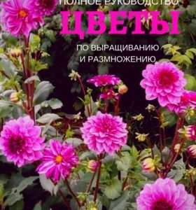 Выращивание садовых цветов: полное руководство для начинающих