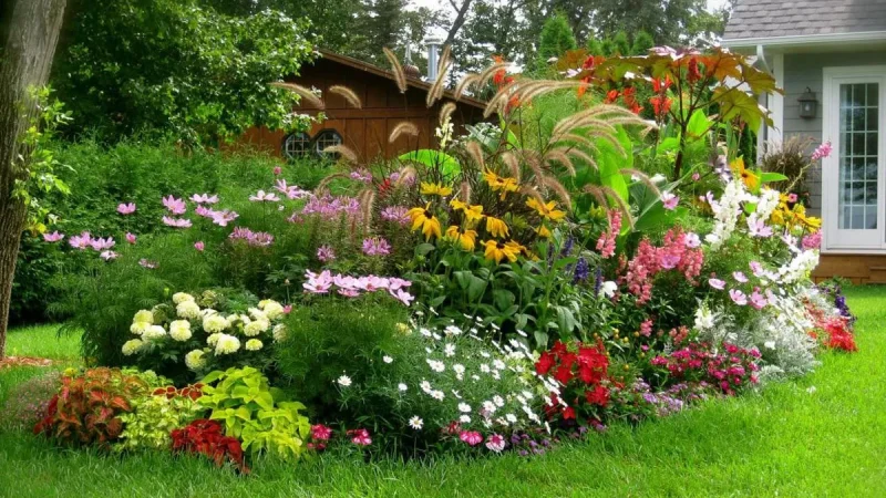 Выращивание цветов на садовом участке: советы и рекомендации