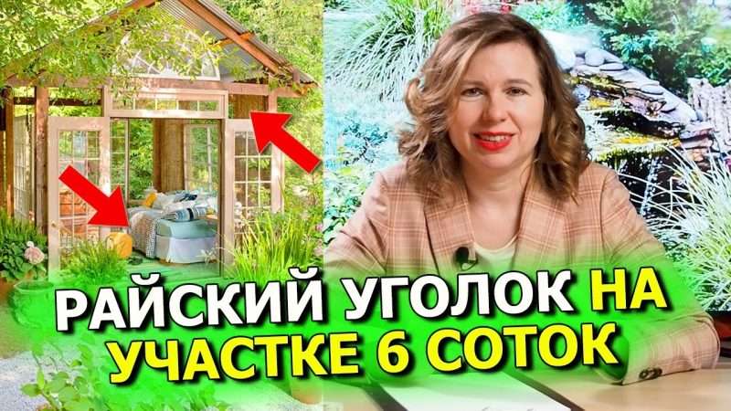 Деревья и кустарники на участке дачи: создание райского уголка