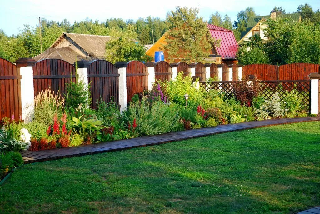 Живая изгородь вдоль забора на даче: выбор растений и посадка
