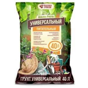 Как выбрать правильный грунт для выращивания овощей