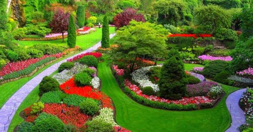 Ландшафтный дизайн на даче: искусство создания гармоничного пространства