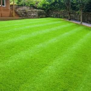 Мечта о красивом, зеленом газоне на даче: создание газона своими руками