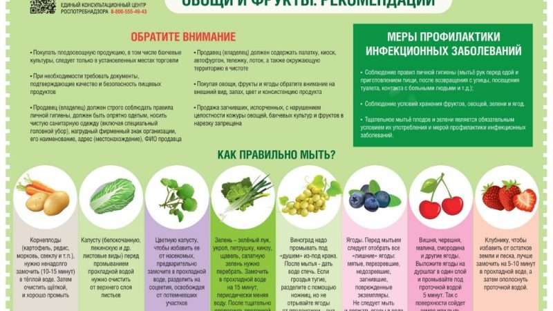 Некислые овощи и фрукты: польза и особенности употребления