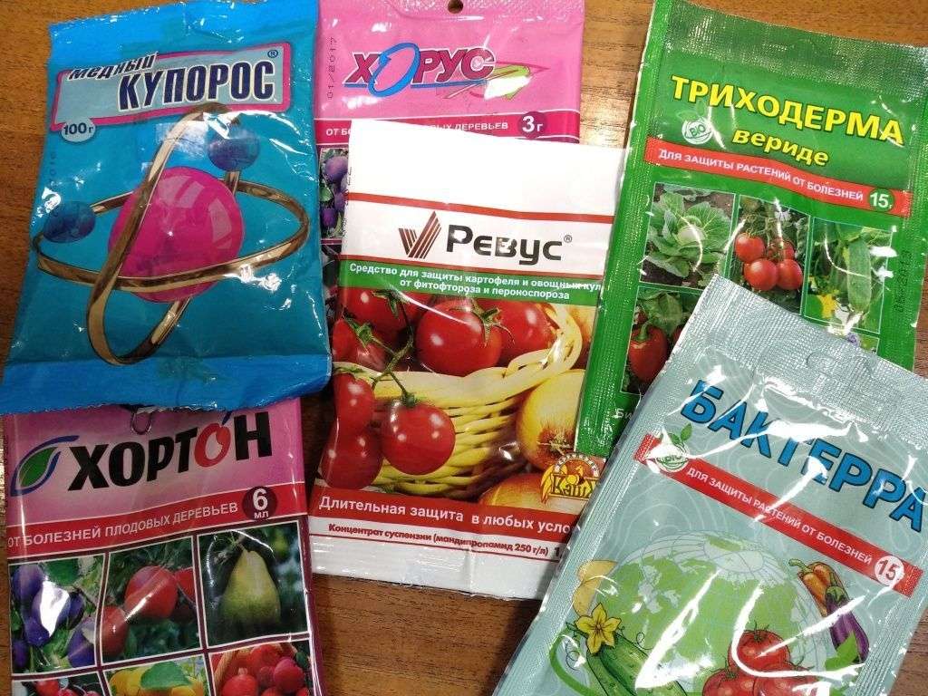 Препараты от болезней растений: виды, применение и эффективность