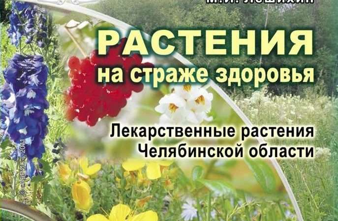 Растения на страже здоровья
