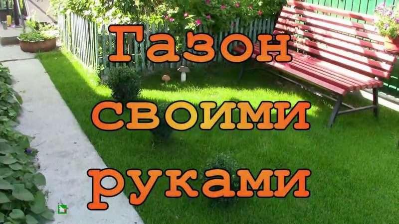 Создание газона на даче своими руками: пошаговое руководство
