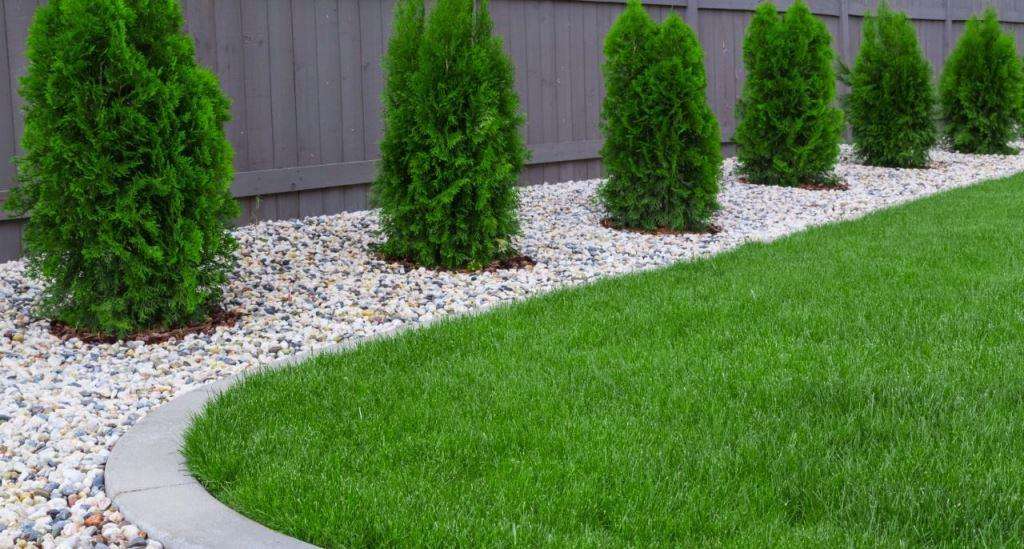 Создание красивого газона на даче: выбор, посадка и уход