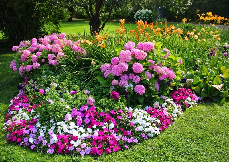 Создание красивого цветника на даче: Дизайн, планирование и выбор растений