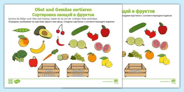 Сортировка овощей по сортам: полное руководство