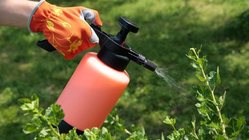 Средства защиты растений от болезней и вредителей