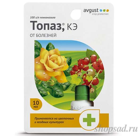 Топаз: эффективный фунгицид для защиты вашего сада и огорода