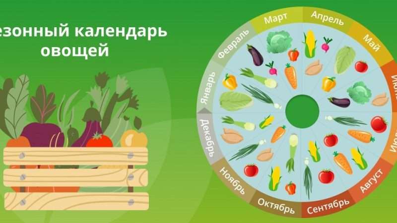 Фрукты и овощи второго сорта: экономия без ущерба для качества